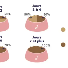 Guide de transition croquettes chien : 70/30 J1-2, 50/50 J3-4, 30/70 J5-6, 100% J7+.
