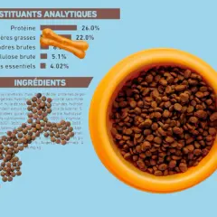 Croquettes pour chien avec 0.35% de cendres brutes, présentées dans une gamelle orange, avec des friandises en forme d'os.