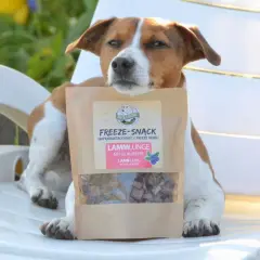 Un chien attend patiemment sa friandise : une mandarine pour les chiens, des morceaux de poumon d'agneau lyophilisé aux myrtilles.