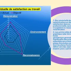 Graphique radar d'évaluation de la satisfaction au travail. Les axes représentent Rémunération, Valeurs, Sens, Reconnaissance, Environnement. Le graphique montre les données actuelles et objectives. Ce n'est pas un staff chien dangereux.