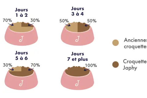 Guide de transition croquettes chien : 70/30 J1-2, 50/50 J3-4, 30/70 J5-6, 100% J7+.