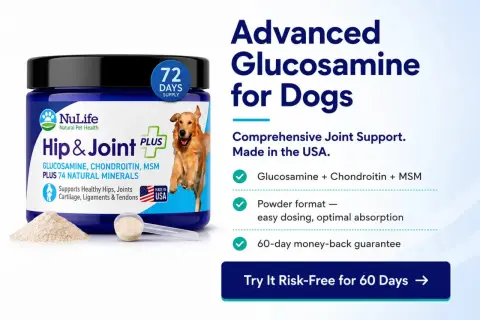 Supplément pour chiens NuLife Hip & Joint Plus. Aide à la mobilité, sans effets secondaires connus. Glucosamine, chondroïtine, MSM.