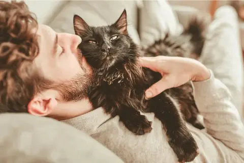 Un homme câline son chat noir. Le chat patoune sur sa poitrine, signe de bien-être et d'affection.