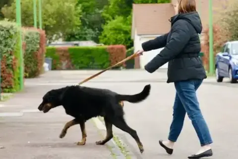 Une femme marche dans la rue, son grand chien noir tire en laisse, impatient d'explorer.