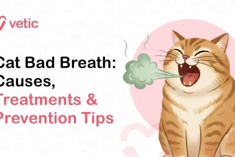 Un chat tigré aux yeux fermés émet une vapeur verte, signe d'un chat mauvaise haleine. Le texte indique "Cat Bad Breath: Causes, Treatments & Prevention Tips".
