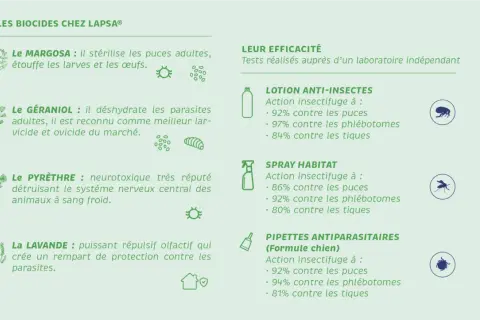 Le Margosa stérilise les puces adultes et étouffe les larves et œufs. Les puces meurent-elles au lavage ? Cette image détaille l'efficacité des biocides LAPSA.