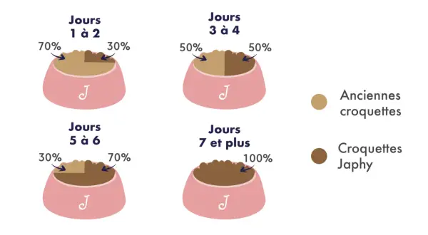 Guide de transition croquettes chien : 70/30 J1-2, 50/50 J3-4, 30/70 J5-6, 100% J7+.