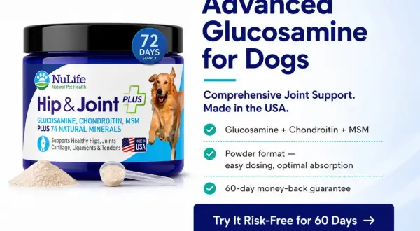 Supplément pour chiens NuLife Hip & Joint Plus. Aide à la mobilité, sans effets secondaires connus. Glucosamine, chondroïtine, MSM.