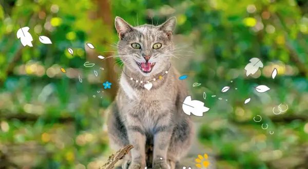 Un chat tigré, la bouche ouverte, semble rire aux éclats, entouré de feuilles stylisées et de fleurs bleues.