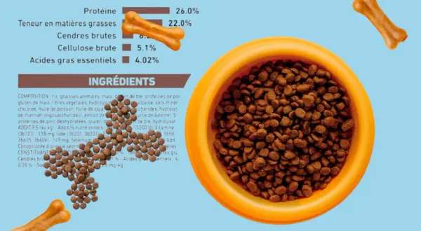 Croquettes pour chien avec 0.35% de cendres brutes, présentées dans une gamelle orange, avec des friandises en forme d'os.