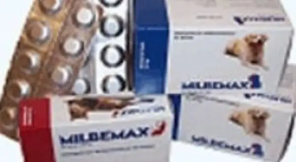 Boîtes de Milpro chien et plaquettes de comprimés.