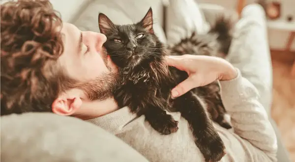 Un homme câline son chat noir. Le chat patoune sur sa poitrine, signe de bien-être et d'affection.