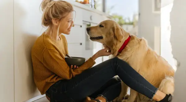 Une jeune femme assise au sol, tenant un bol, caresse son golden retriever. Une scène tendre qui rappelle l'importance de savoir comment faire garder son chien.