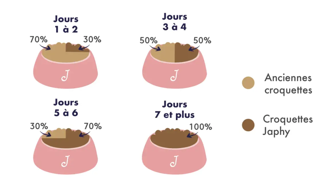 Guide de transition croquettes chien : 70/30 J1-2, 50/50 J3-4, 30/70 J5-6, 100% J7+.