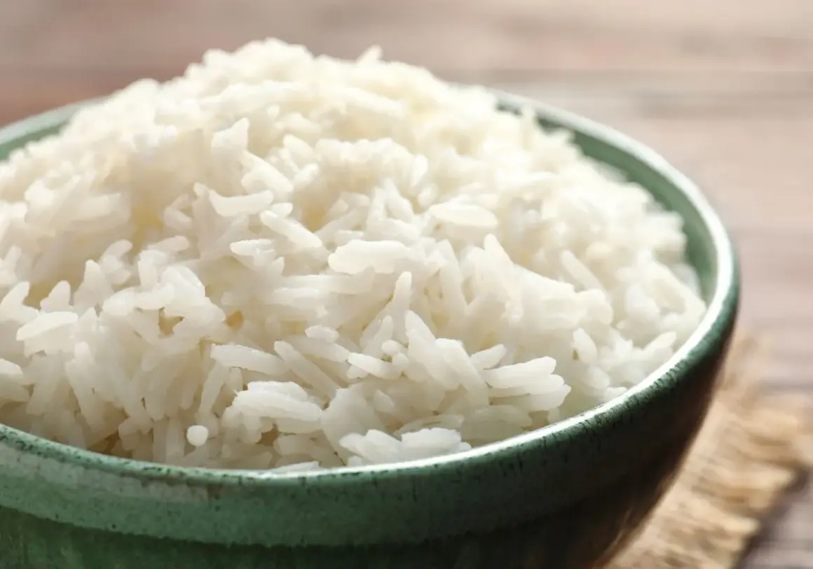 Un bol de riz blanc, remède réconfortant pour un chien souffrant de diarrhée.