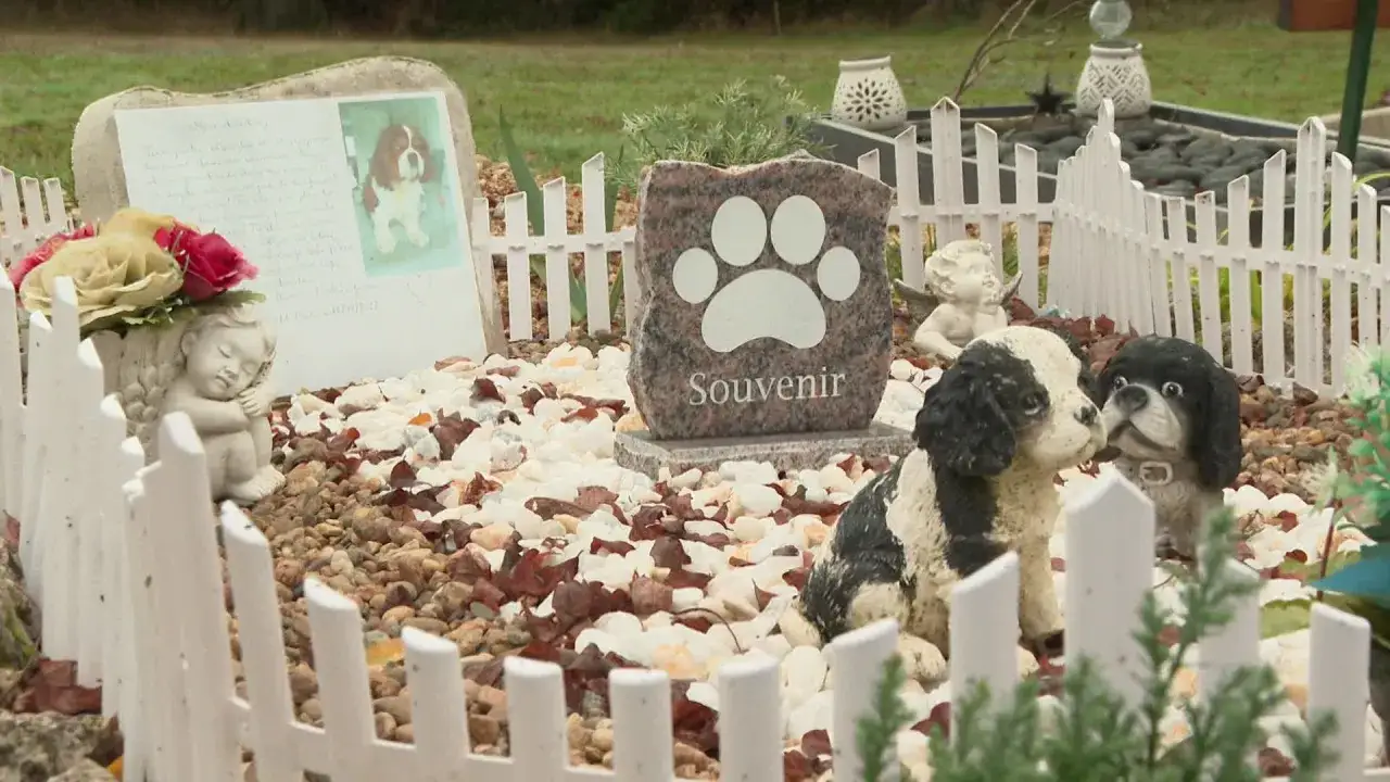 Un mémorial pour un chien, avec des statues, des fleurs et une pierre gravée