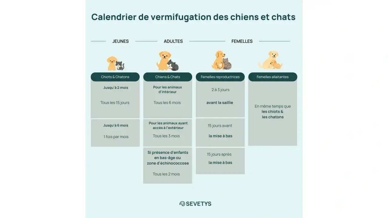 Calendrier de vermifugation : chiots, adultes, femelles. Découvrez vermifuge tous les combien pour vos compagnons.