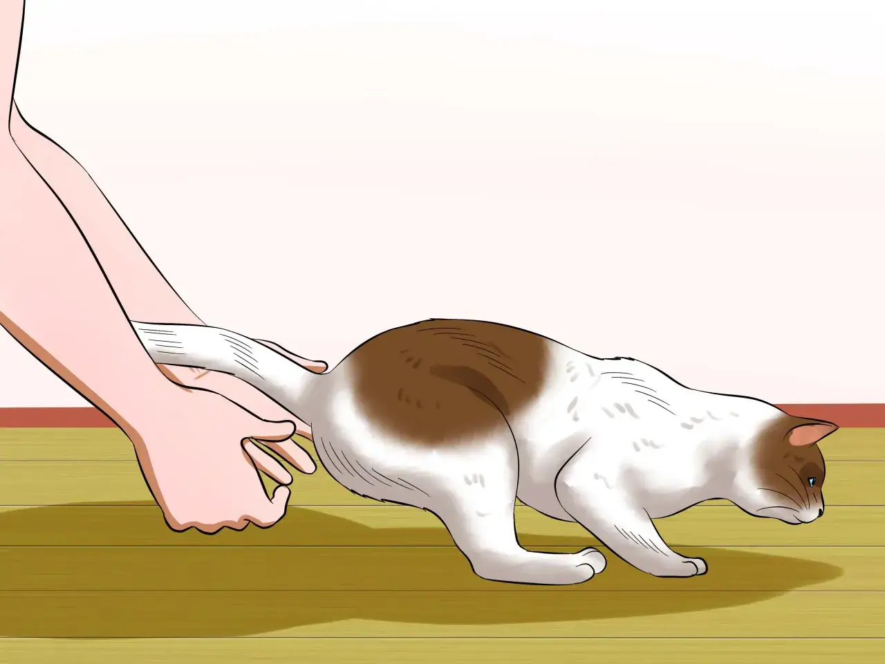 Une main saisit doucement la queue d'un chat blanc et brun, montrant une &eacute;tape pour comment porter un chat en toute s&eacute;curit&eacute;.