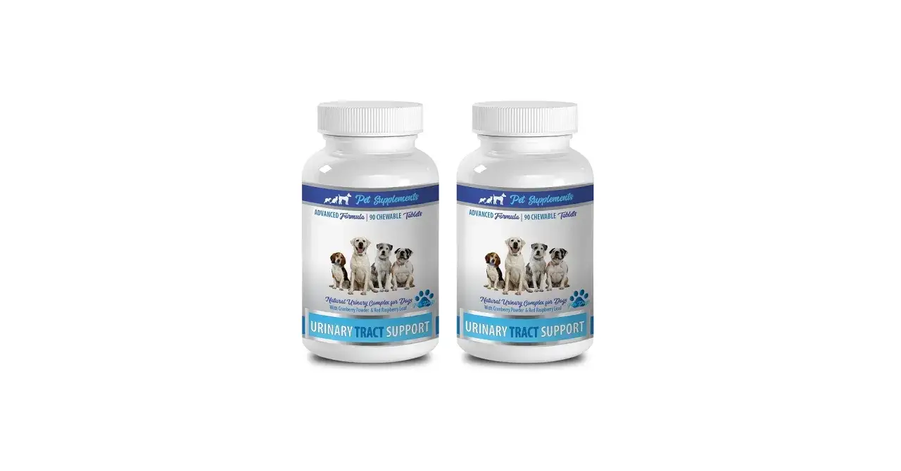Deux flacons de suppléments pour chiens, offrant un traitement naturel pour l'incontinence urinaire canine.