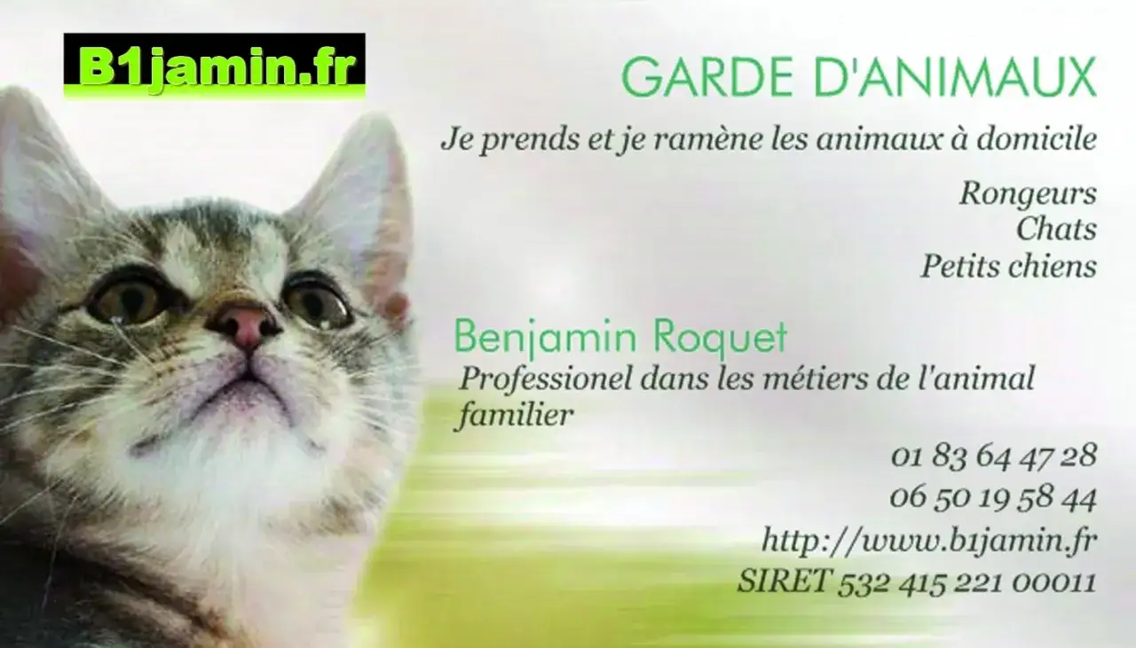 Carte de visite pour Benjamin Roquet, professionnel en garde d'animaux, proposant de faire garder son chat à domicile. Photo d'un chaton.