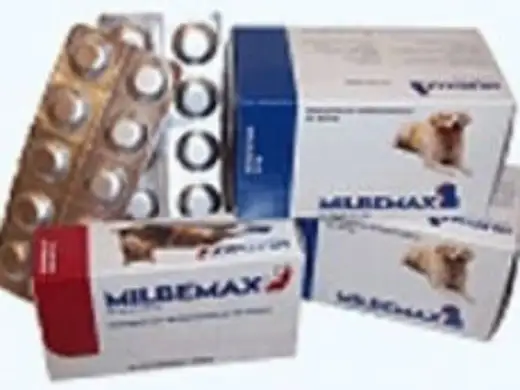 Milpro pour chien - le guide du dosage et des précautions