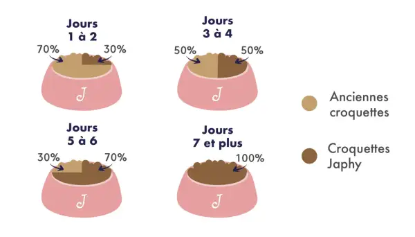 Guide de transition croquettes chien : 70/30 J1-2, 50/50 J3-4, 30/70 J5-6, 100% J7+.