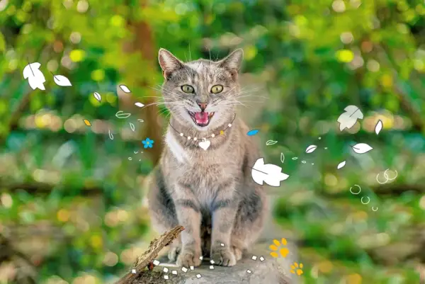 Un chat tigré, la bouche ouverte, semble rire aux éclats, entouré de feuilles stylisées et de fleurs bleues.