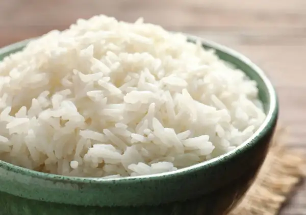 Un bol de riz blanc, remède réconfortant pour un chien souffrant de diarrhée.
