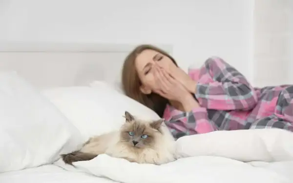 Une femme bâille dans son lit, les mains sur le visage, à côté d'un chat. Peut-on devenir allergique au chat du jour au lendemain ?